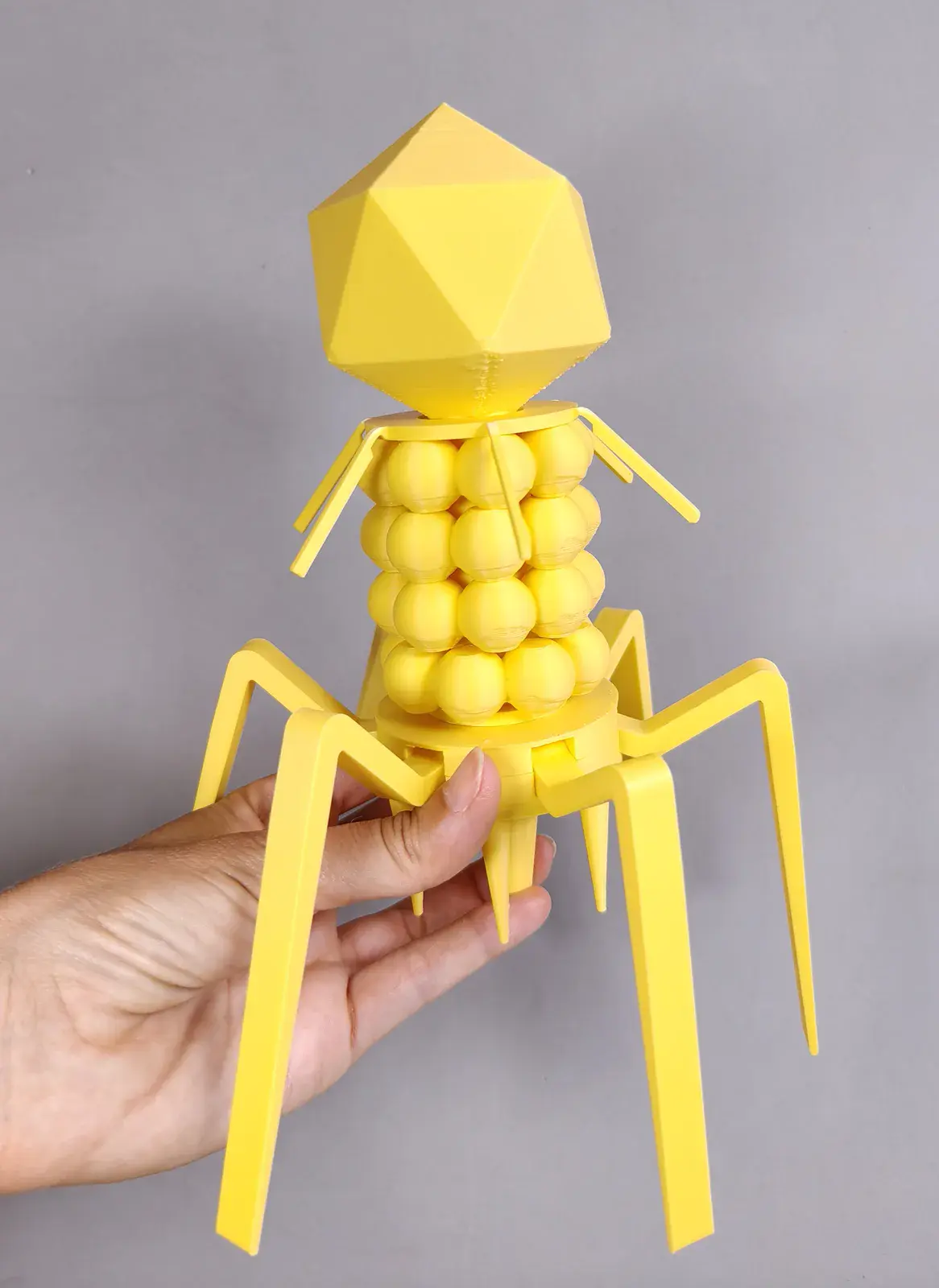 Modelo Tridimensional de Bacteriófago