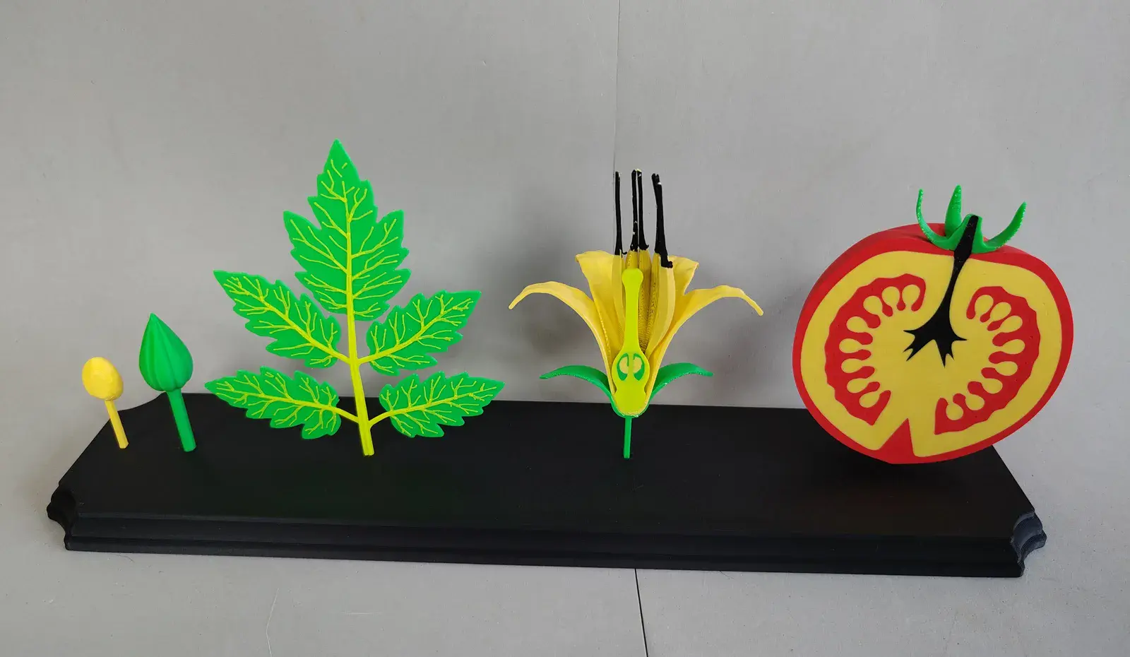 U productos basicos ciclo tomate 2