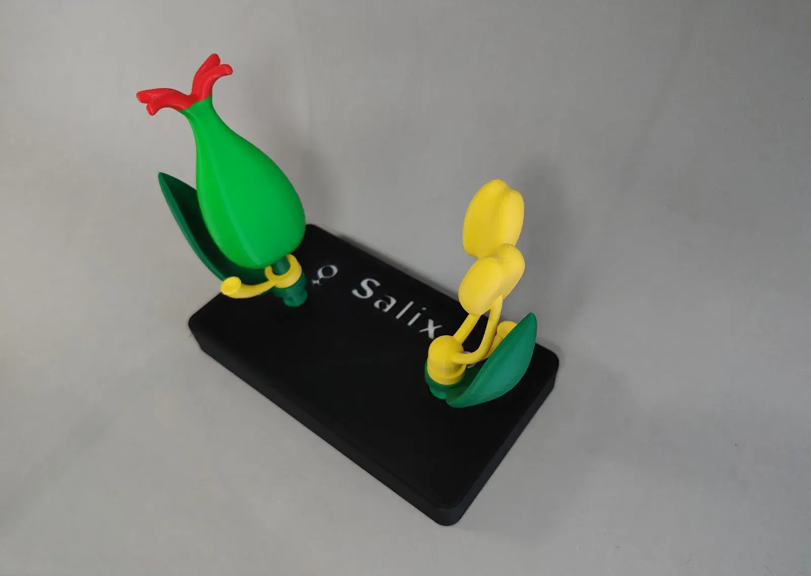 Modelo de Flor Unisexual y Dioecia del Sauce