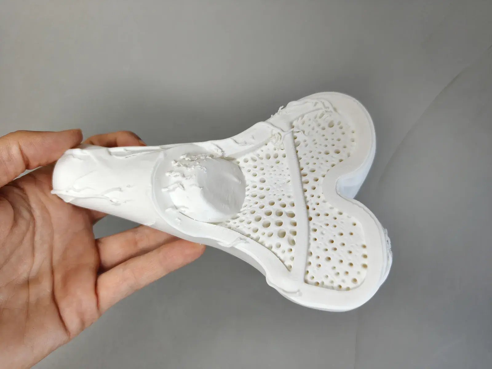 Modelo de Microestructura Ósea