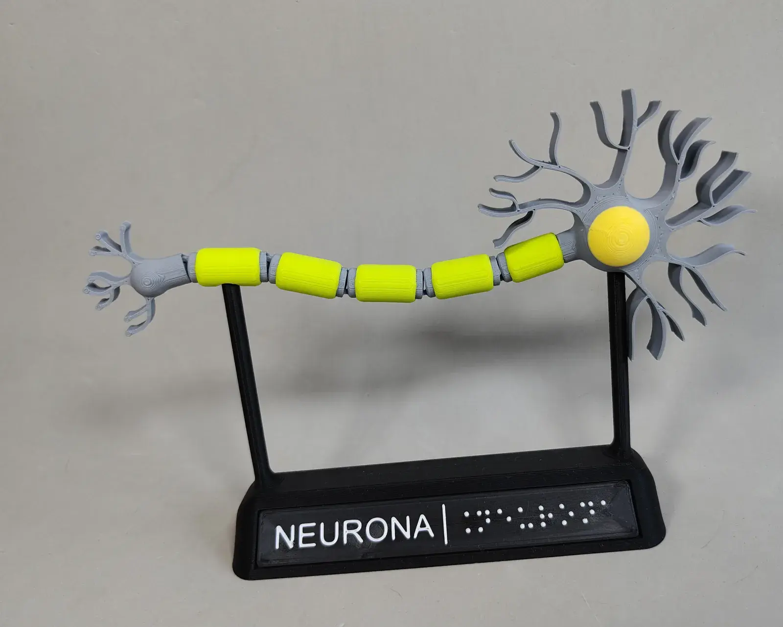 U productos inclusivos neurona motora braille 2