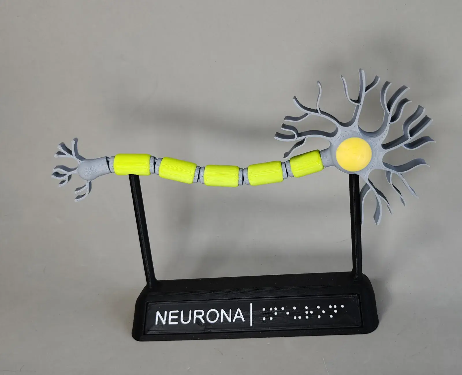 U productos inclusivos neurona motora braille 3