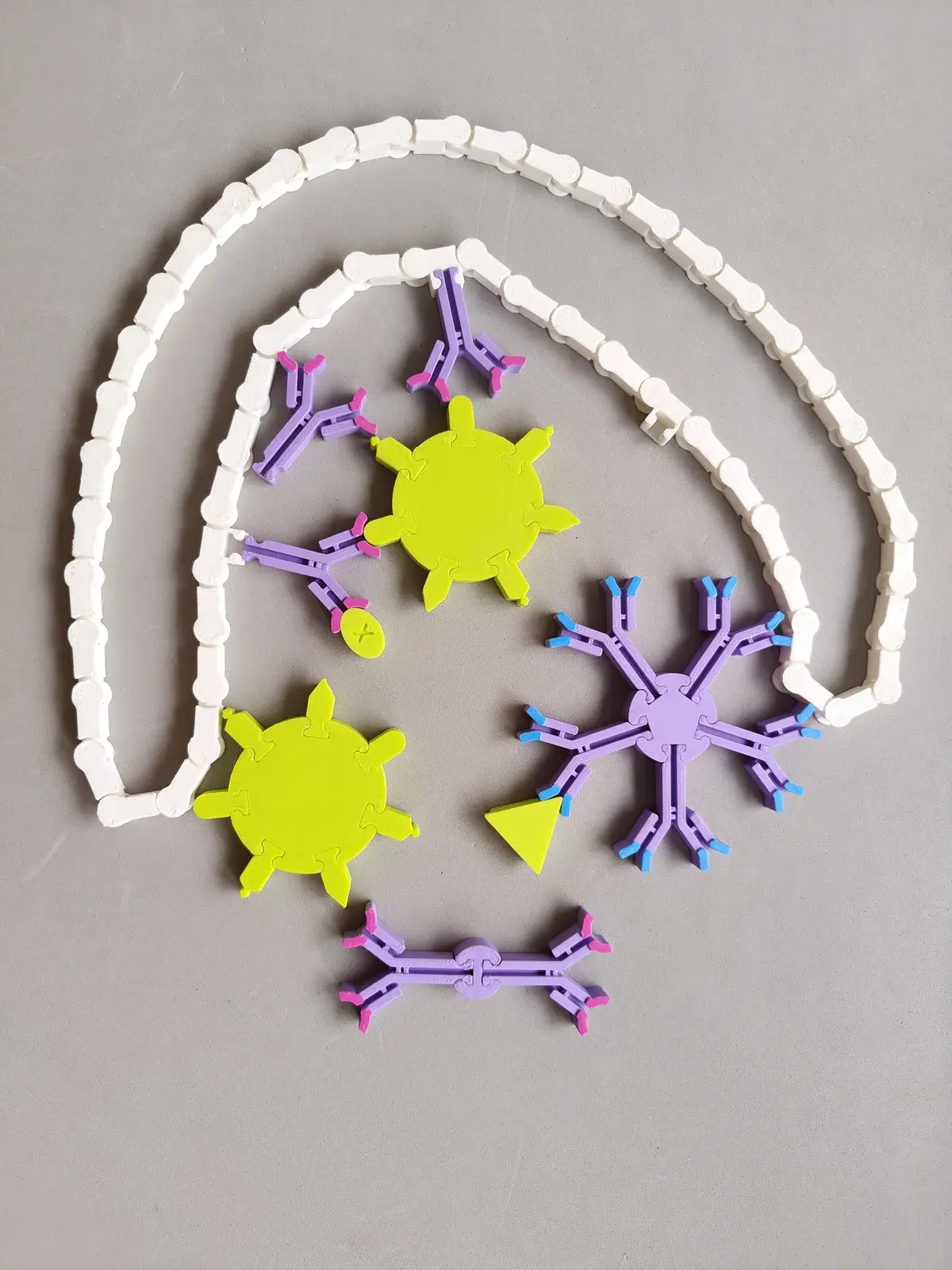 Kit de Inmunología Montessori
