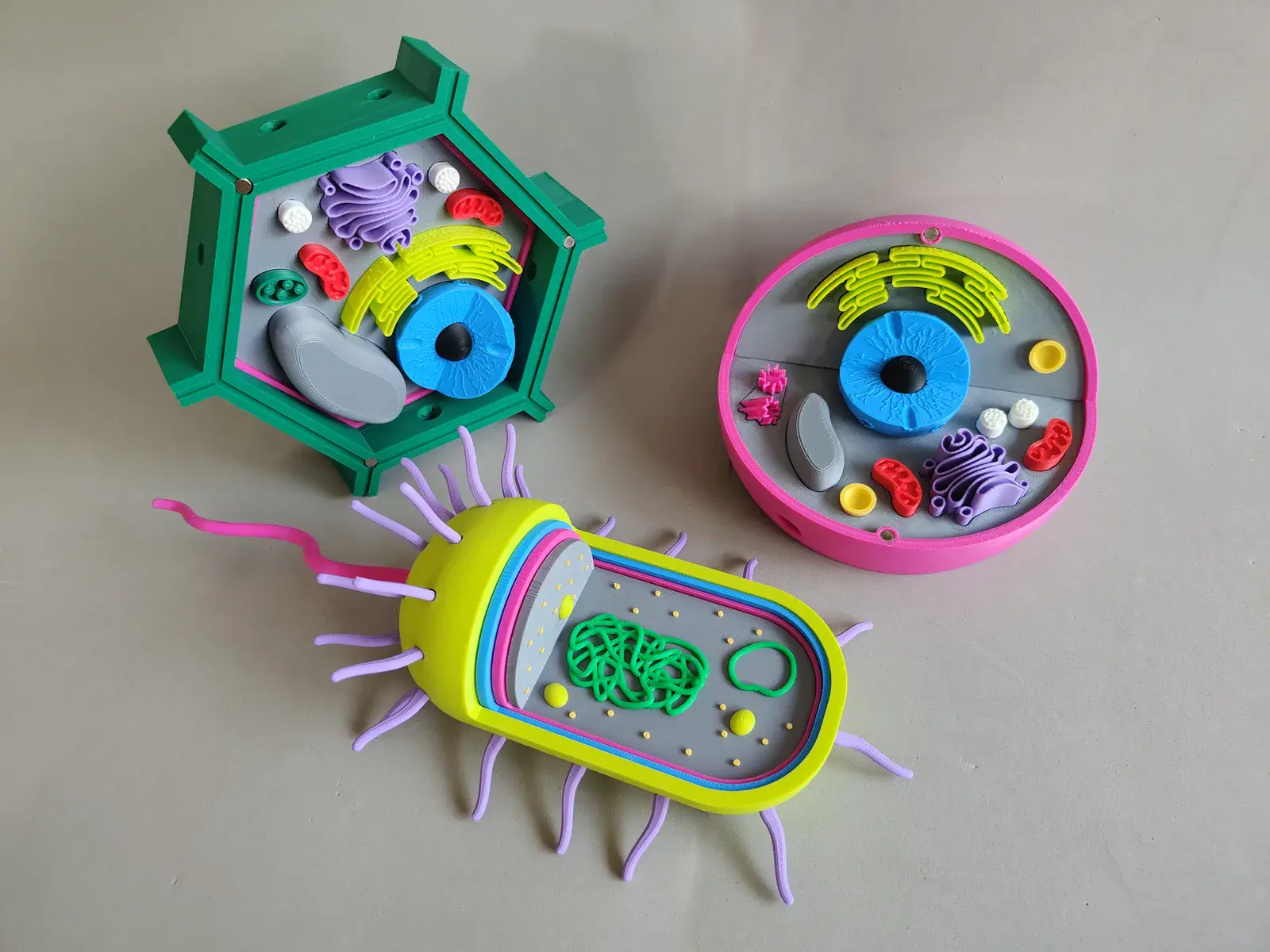 U productos montessori trilogia celular 2