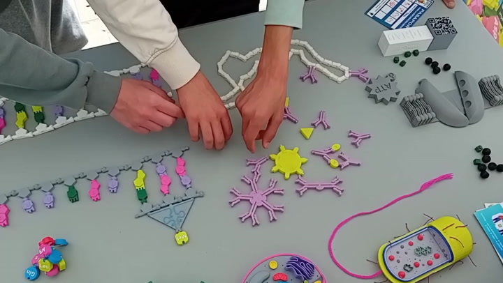 3DNAU - Material Didáctico Manipulativo para Educación