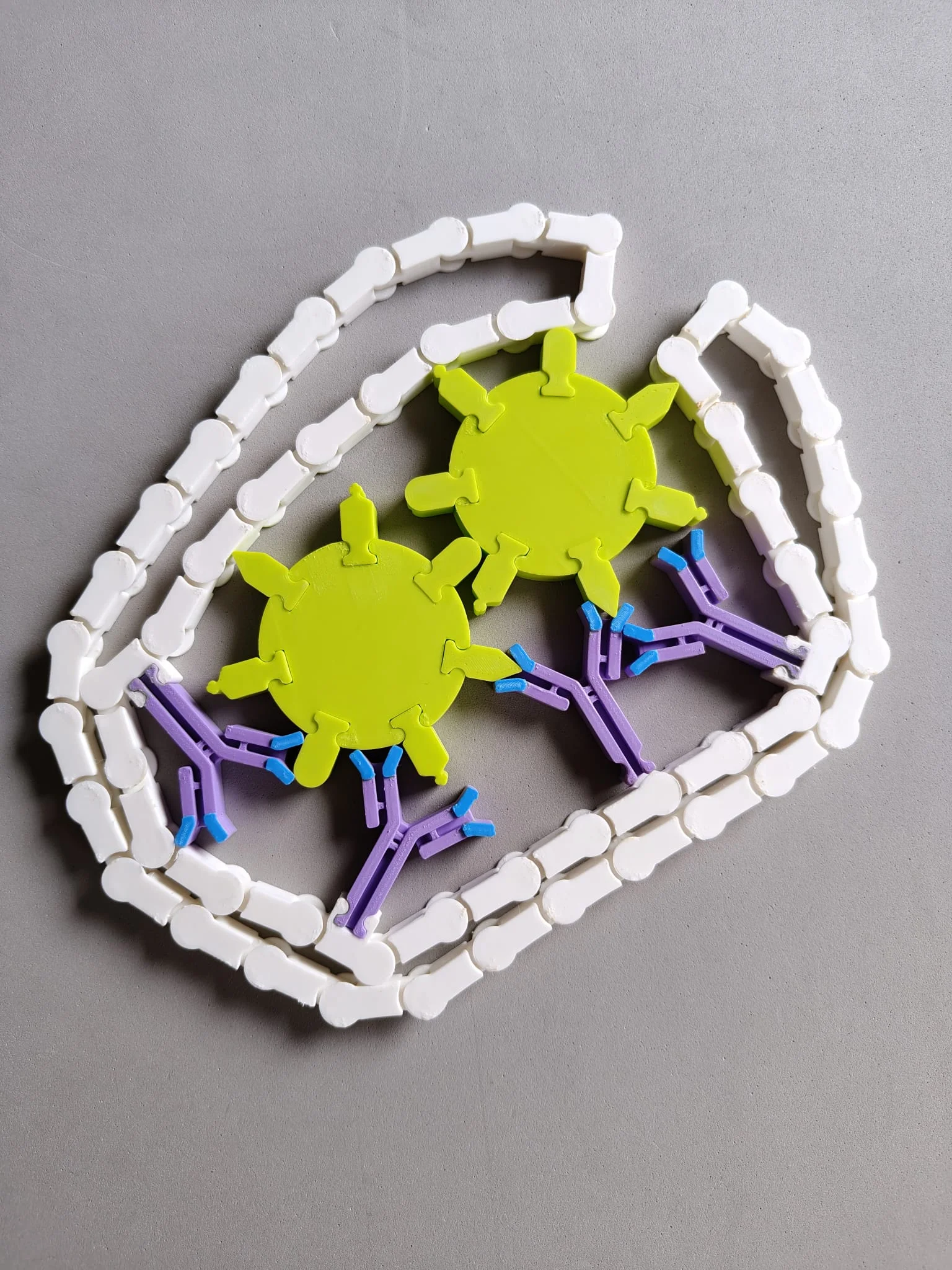 U whatsapp image 2026 01 07 at 11 42 53