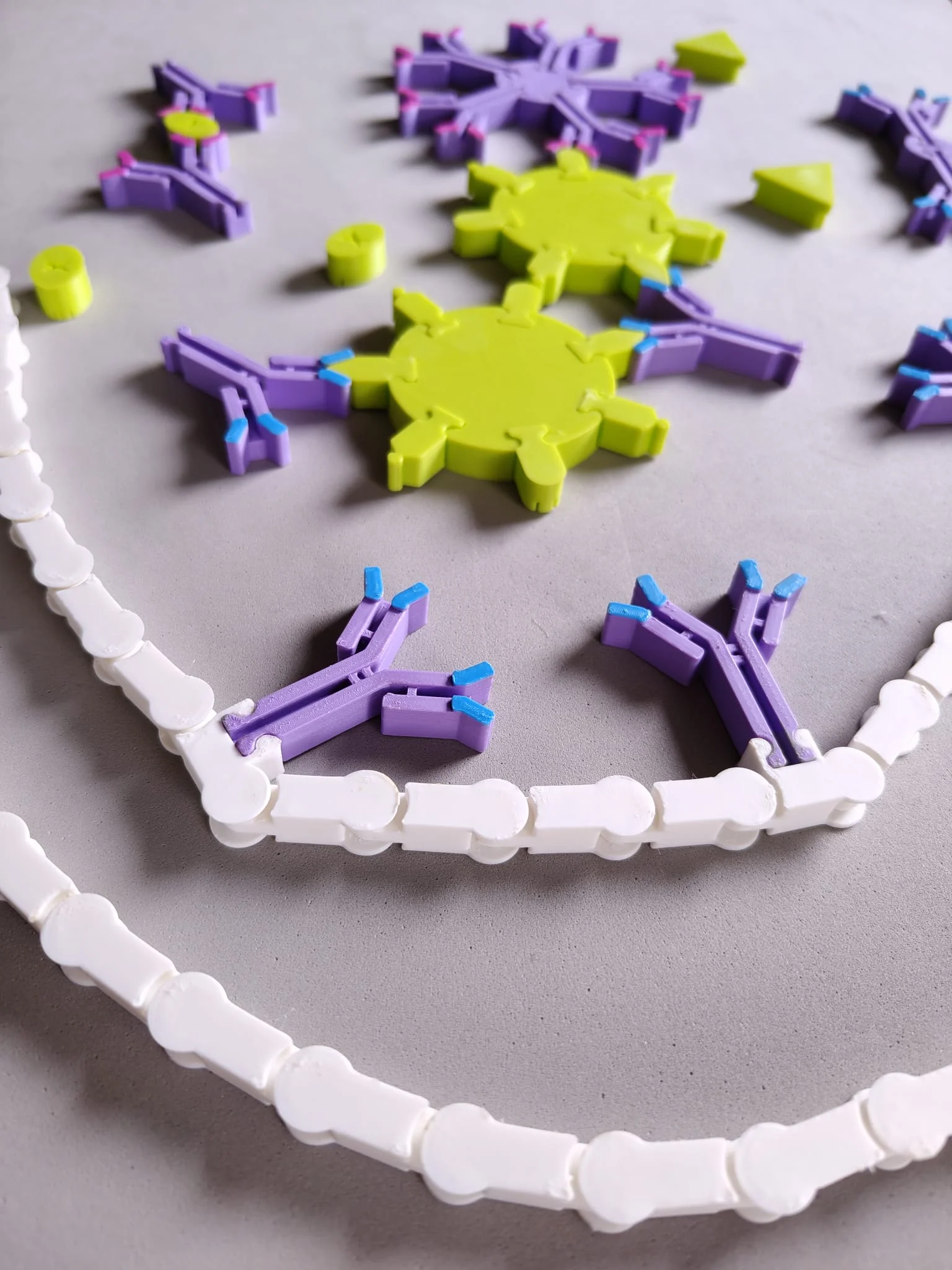 U whatsapp image 2026 01 07 at 11 42 55 1