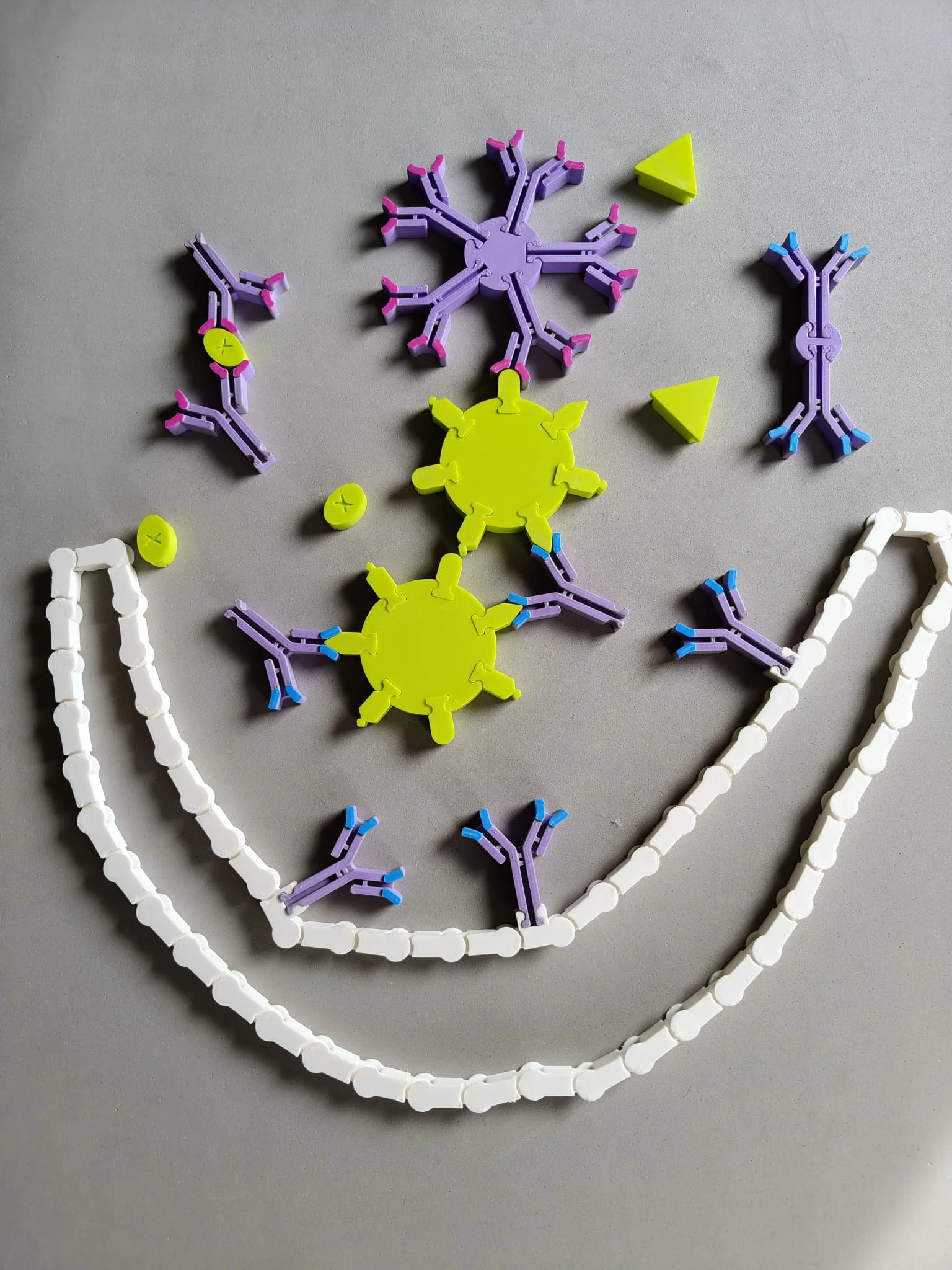 U whatsapp image 2026 01 07 at 11 42 55 3